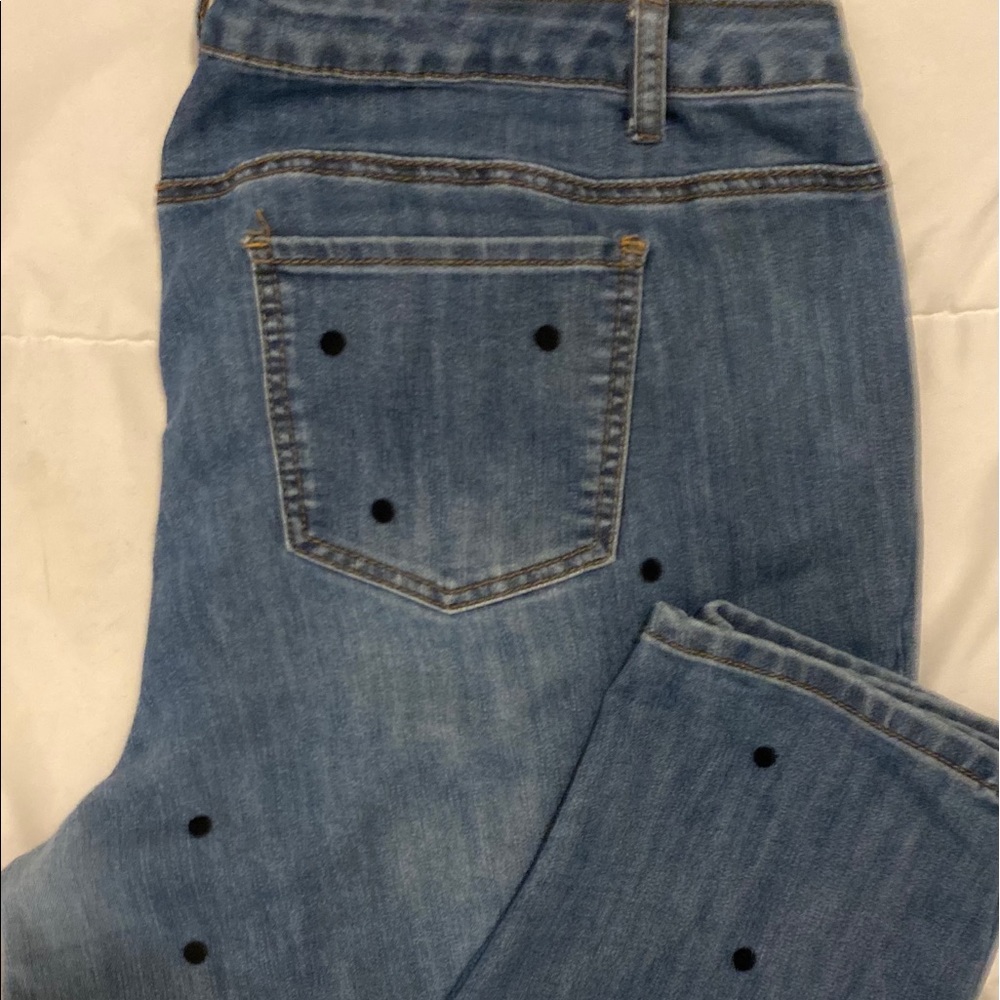 Loft Denim Contemporary Jeans